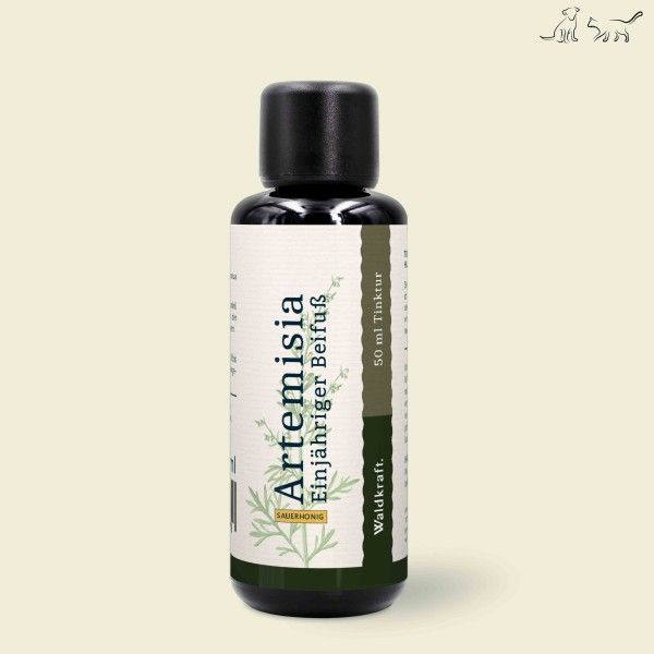 Kräuterig, Pflanze, Flasche, Kosmetik, Parfüm