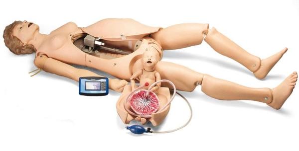 Erler-Zimmer Noelle Geburtssimulator Erler-Zimmer Noelle Geburtssimulator