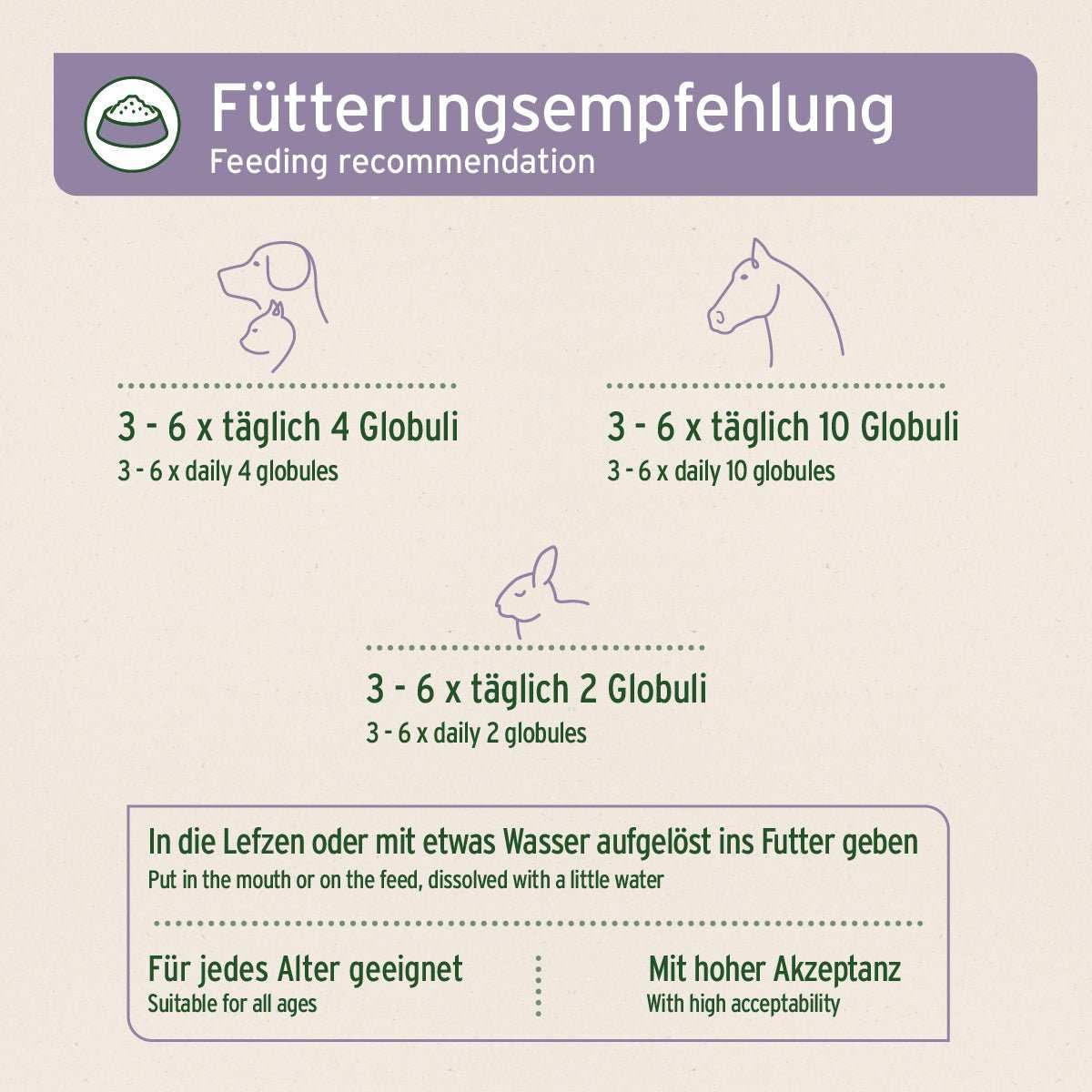 Text, Kuh, Vieh, Säugetier, Seite