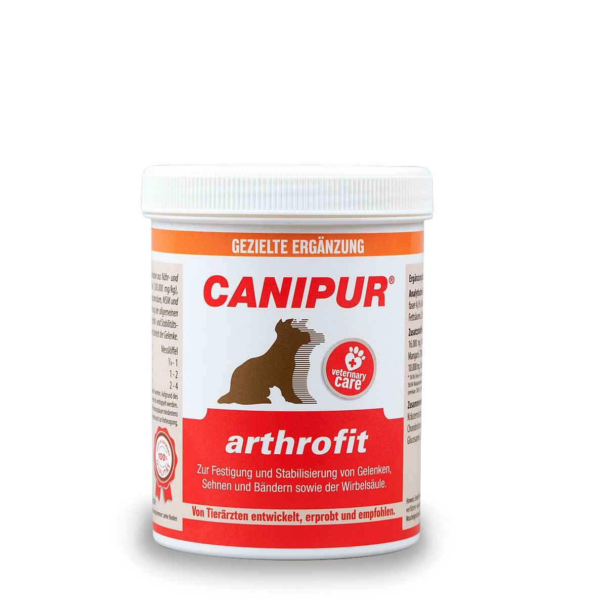 Tier, Bär, Säugetier, Tierwelt