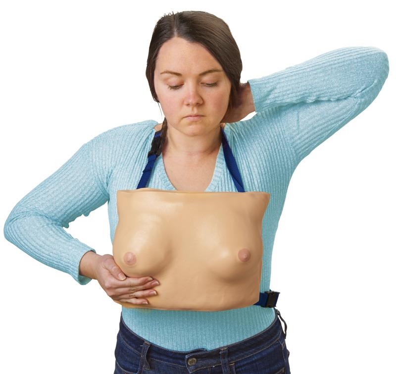 Brustmodell