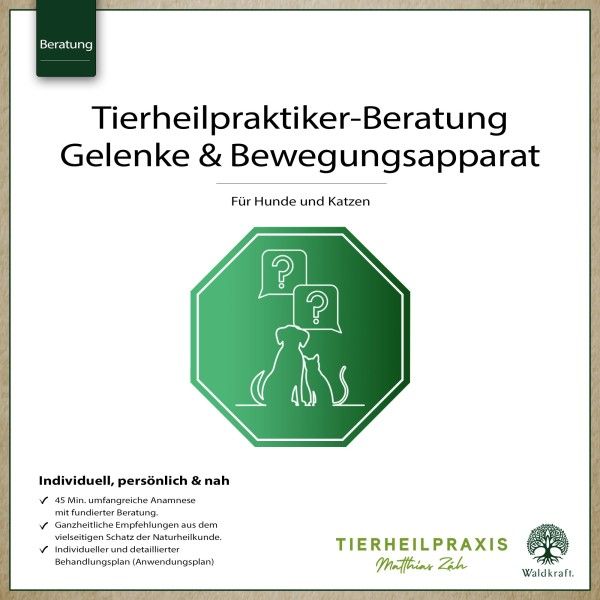 Waldkraft THP-Beratung: Bewegungsapparat Werbung, Plakat, Schild, Symbol, Symbol für Wiederverwertung